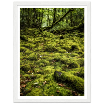 Forest Floor